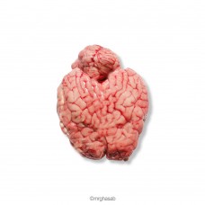 مغز گوساله